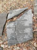 image of grave number 370664